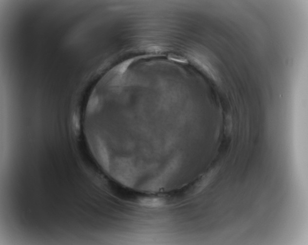 X0000088190358200705292017