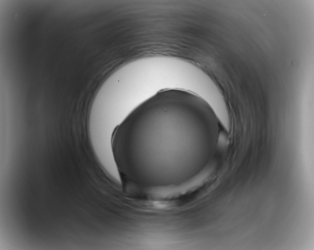 X0000088190360200705292017