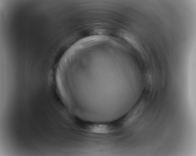 X0000088190361200705292017