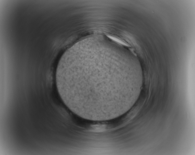 X0000088190362200705292017