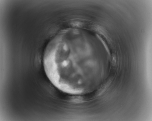 X0000088190363200705292017