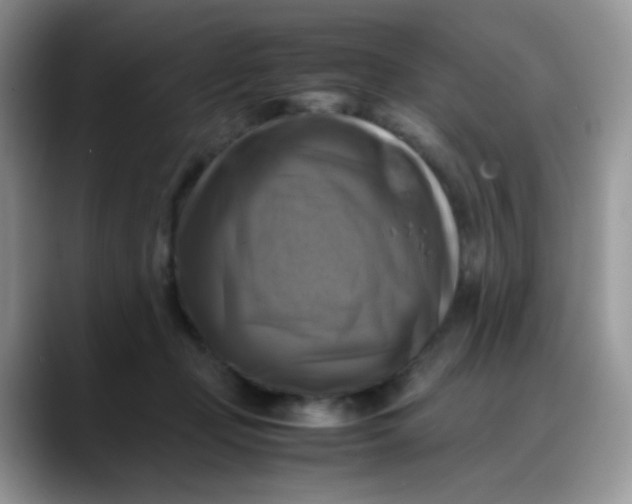 X0000088190365200705292017