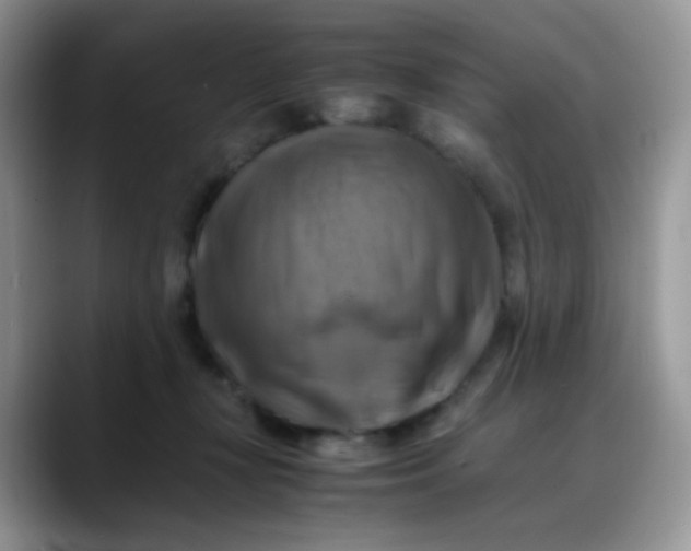 X0000088190367200705292017
