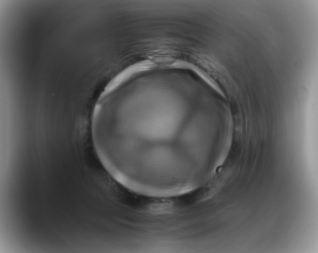 X0000088190369200705292017