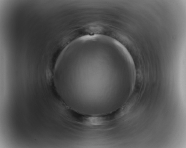 X0000088190371200705292017