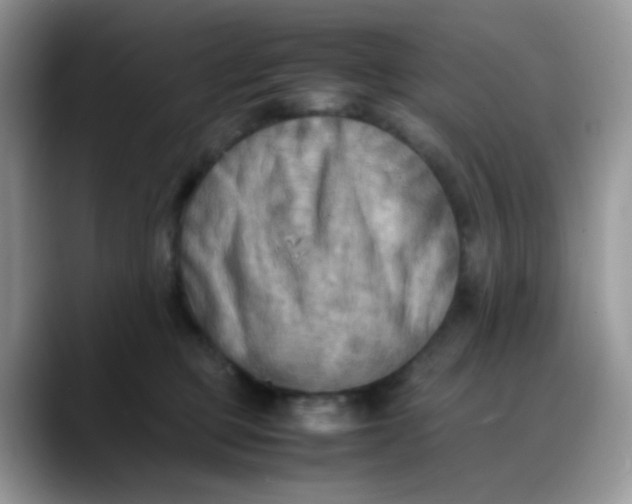 X0000088190373200705292017