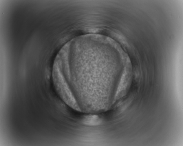 X0000088190374200705292017