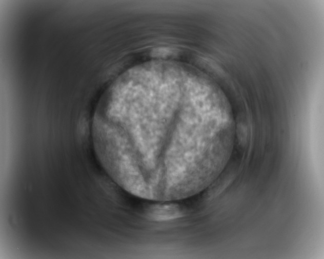 X0000088190375200705292017