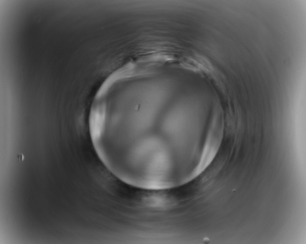 X0000088190377200705292017