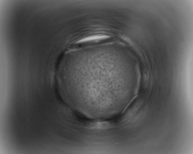 X0000088190379200705292017