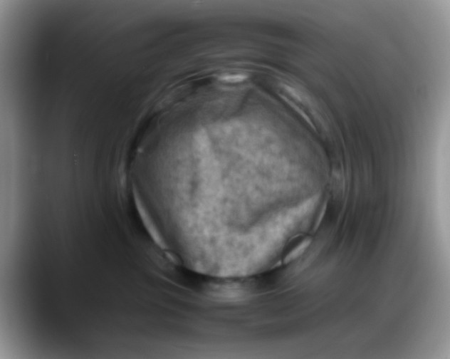 X0000088190381200705292017