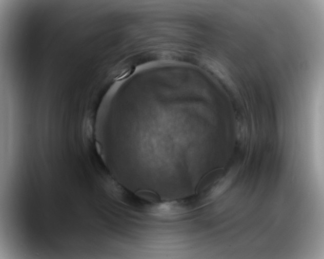 X0000088190382200705292017