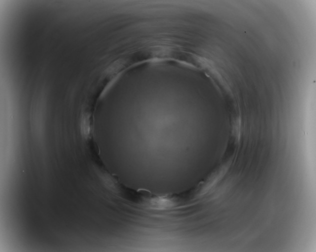 X0000088190383200705292017