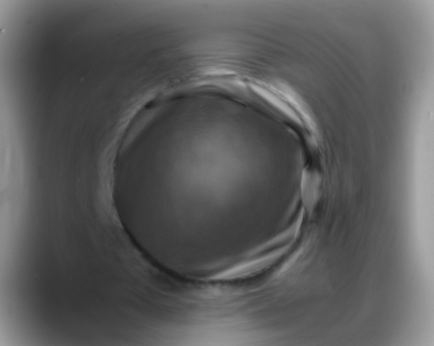 X0000088190385200705292016