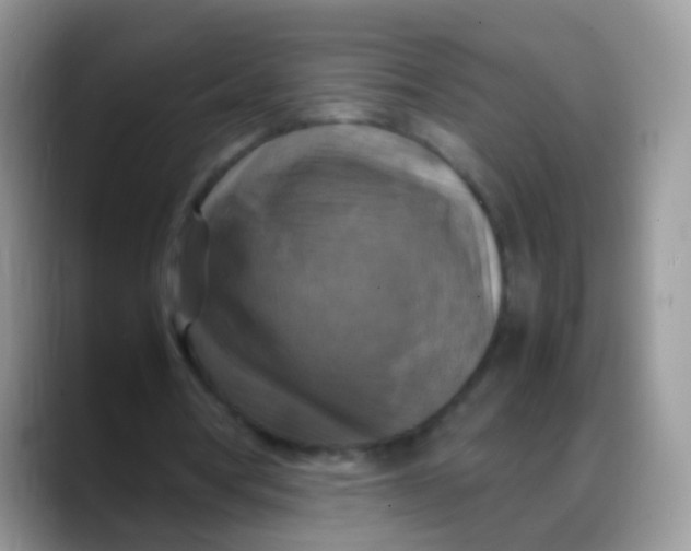 X0000088190386200705292016