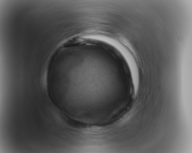 X0000088190387200705292016
