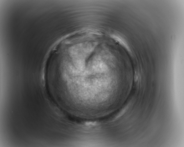 X0000088190388200705292016