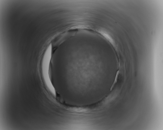 X0000088190389200705292016