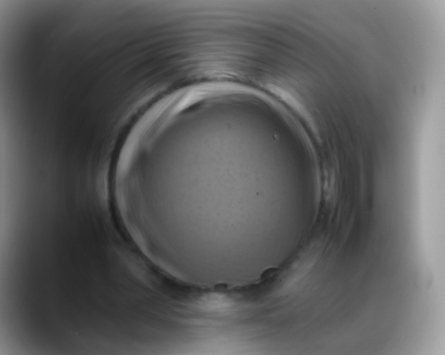 X0000088190390200705292016