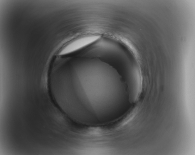 X0000088190391200705292016
