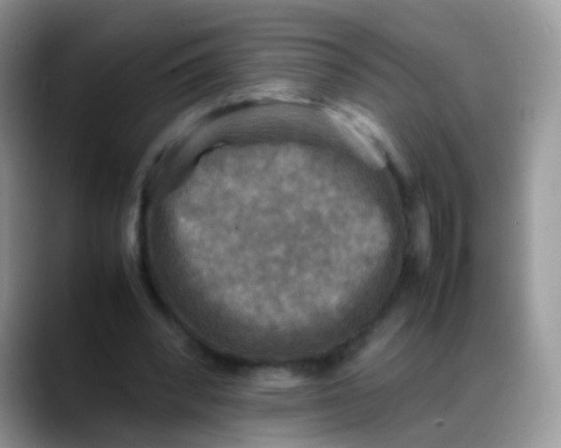 X0000088190392200705292016
