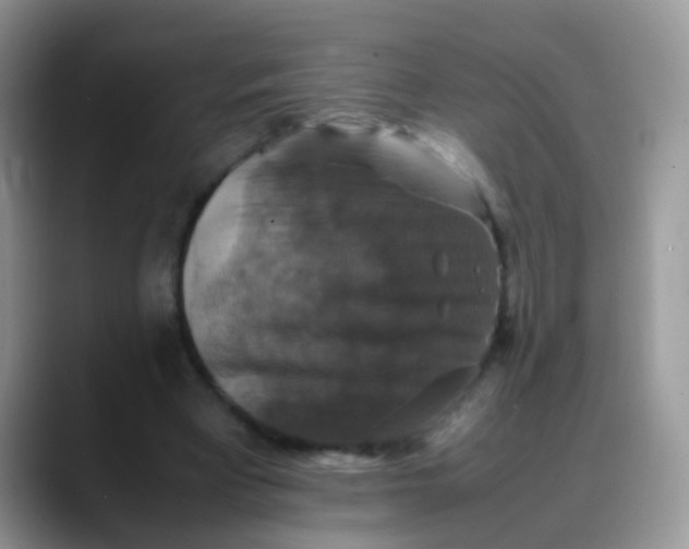 X0000088190393200705292016