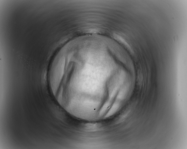 X0000088190394200705292016