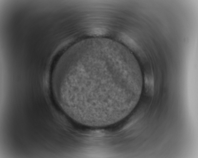X0000088190396200705292016