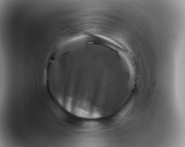 X0000088190397200705292016