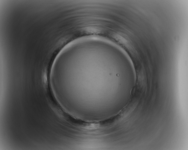 X0000088190398200705292016