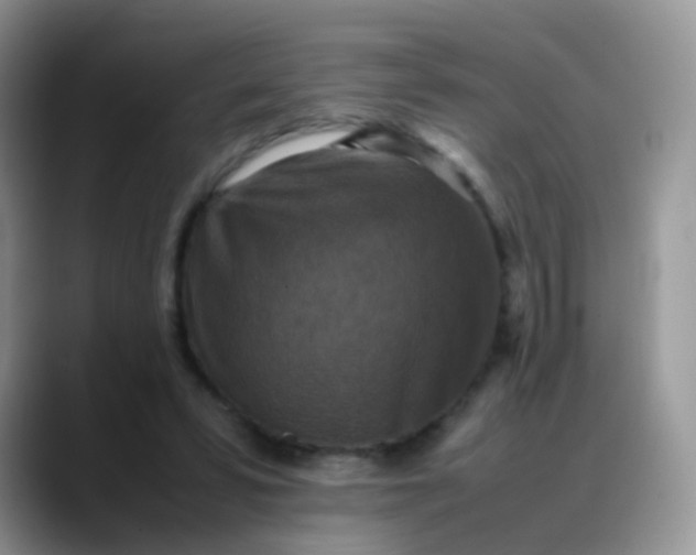 X0000088190399200705292016