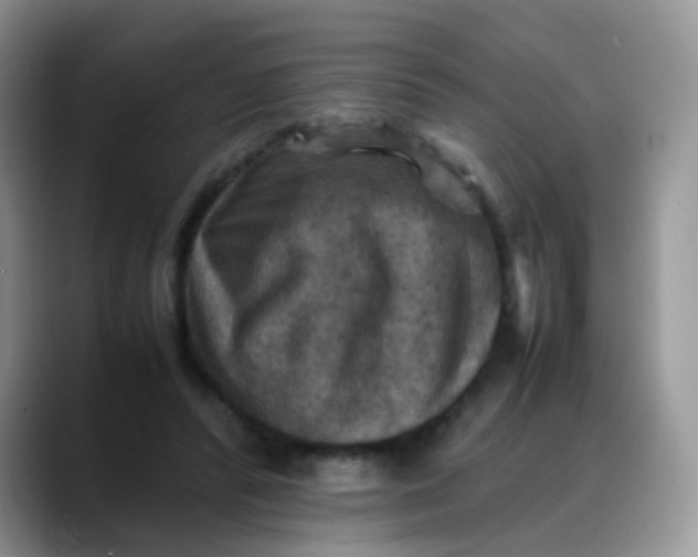X0000088190400200705292016