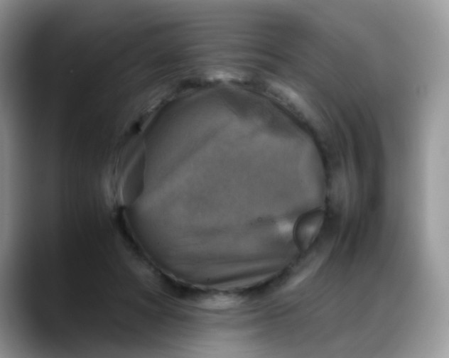 X0000088190402200705292016