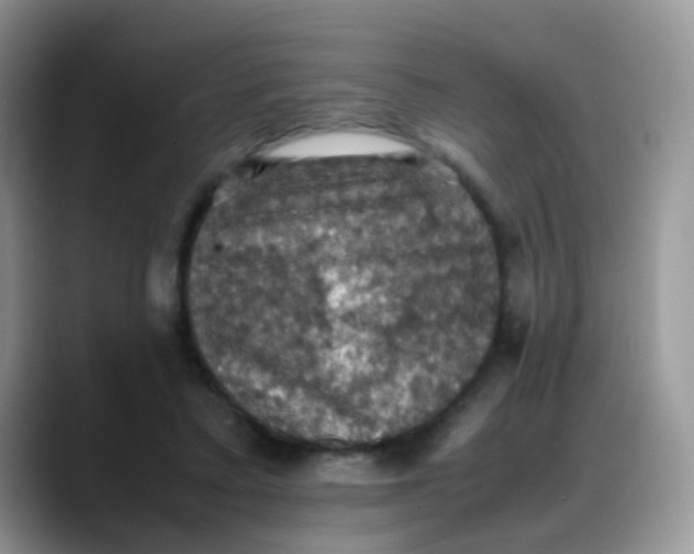 X0000088190403200705292016