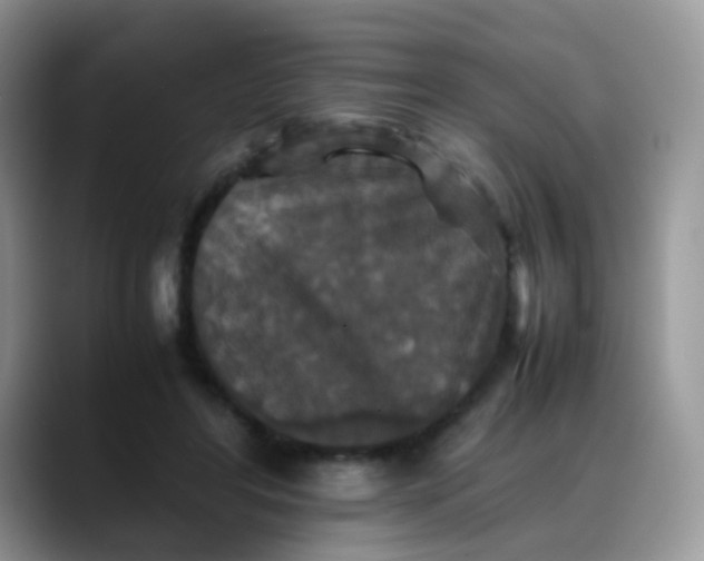 X0000088190404200705292016