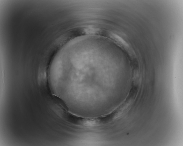 X0000088190405200705292016