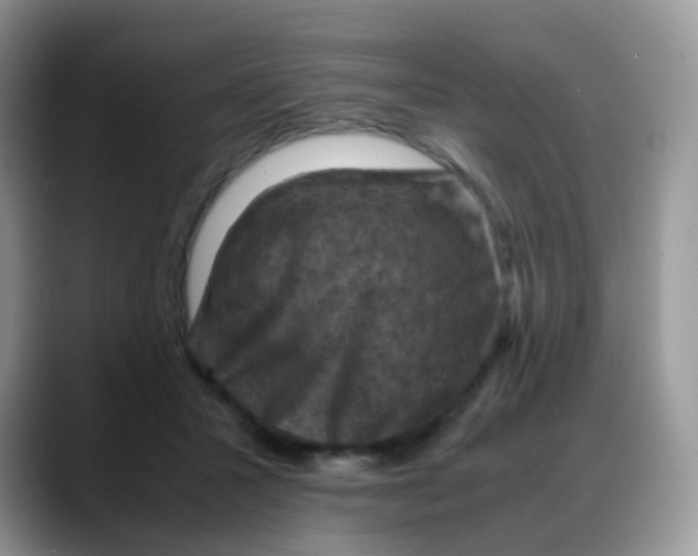 X0000088190407200705292016