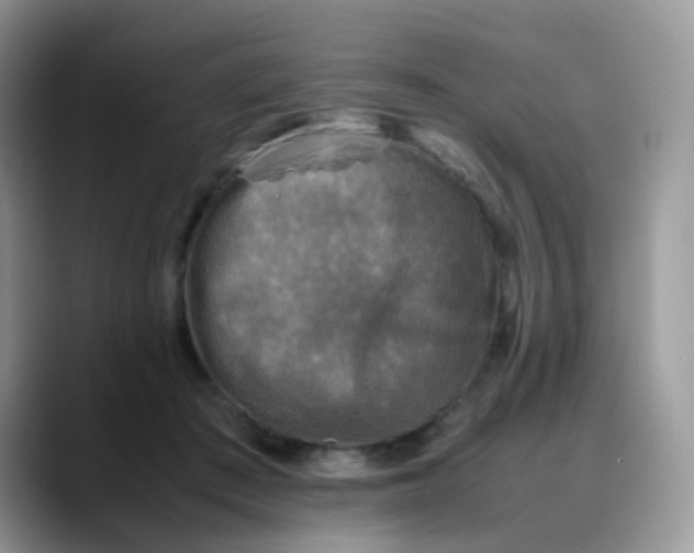 X0000088190409200705292016