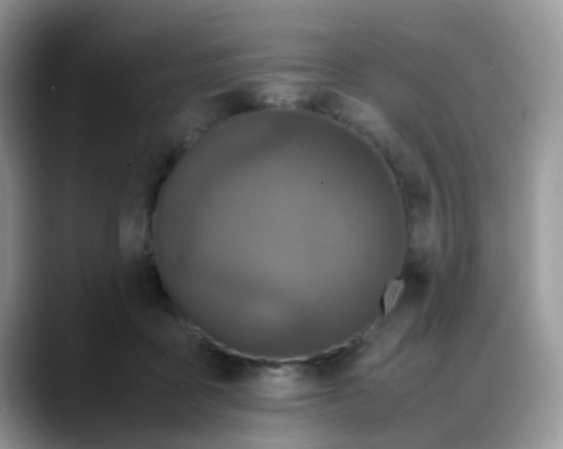 X0000088190411200705292016