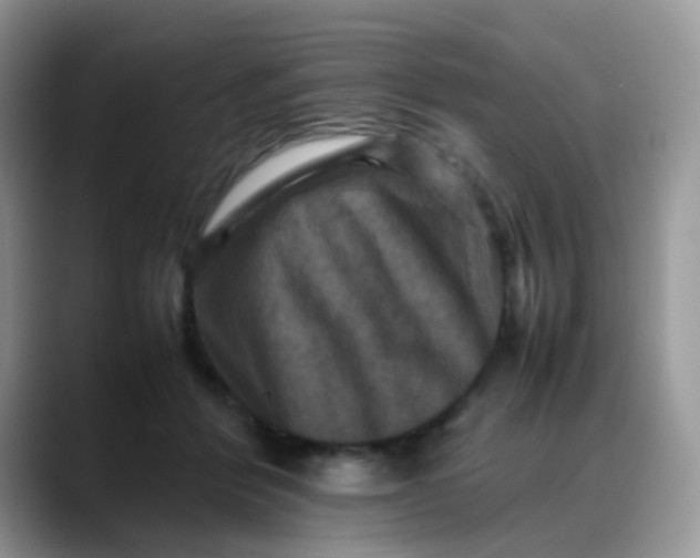 X0000088190412200705292016
