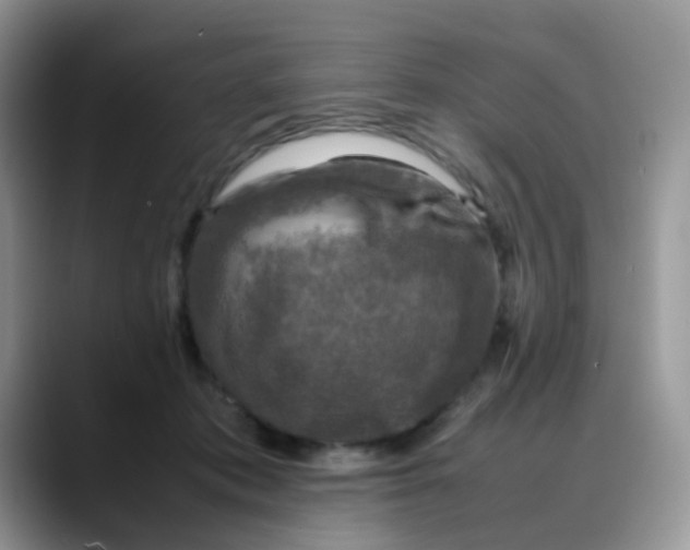 X0000088190413200705292016