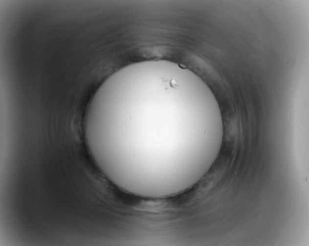 X0000088190414200705292016