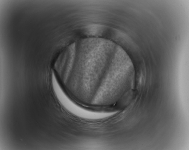 X0000088190416200705292016