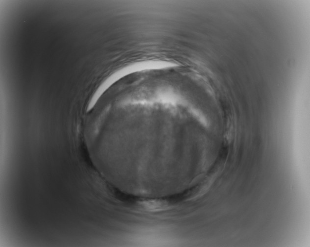 X0000088190417200705292016