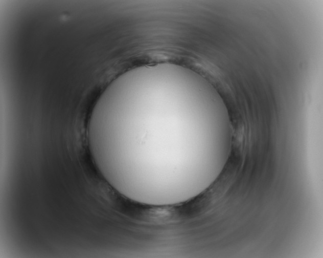 X0000088190418200705292016