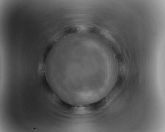 X0000088190419200705292016