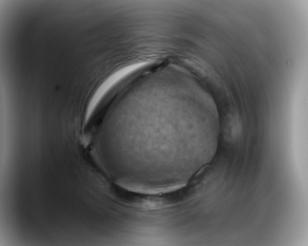X0000088190420200705292016