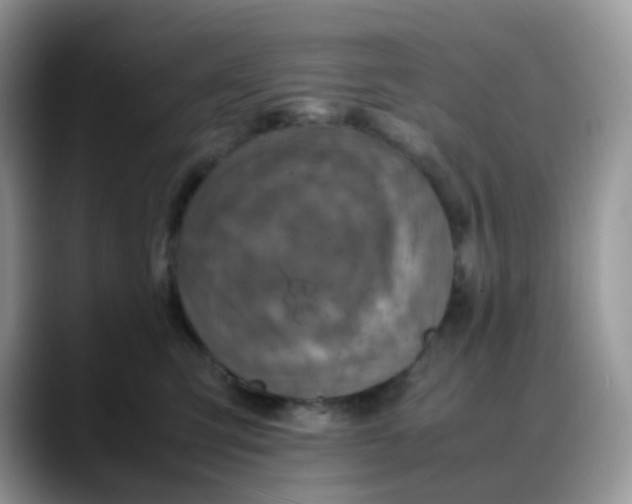 X0000088190423200705292016