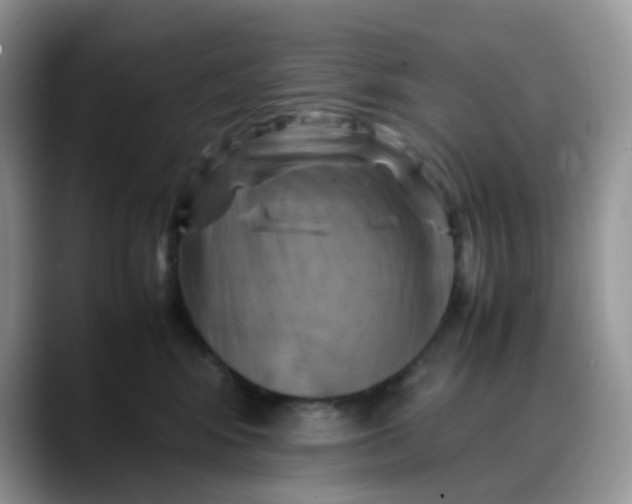 X0000088190424200705292016