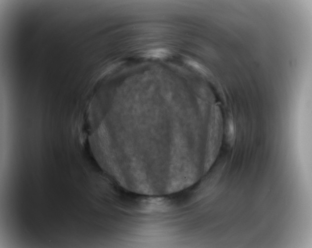 X0000088190428200705292016